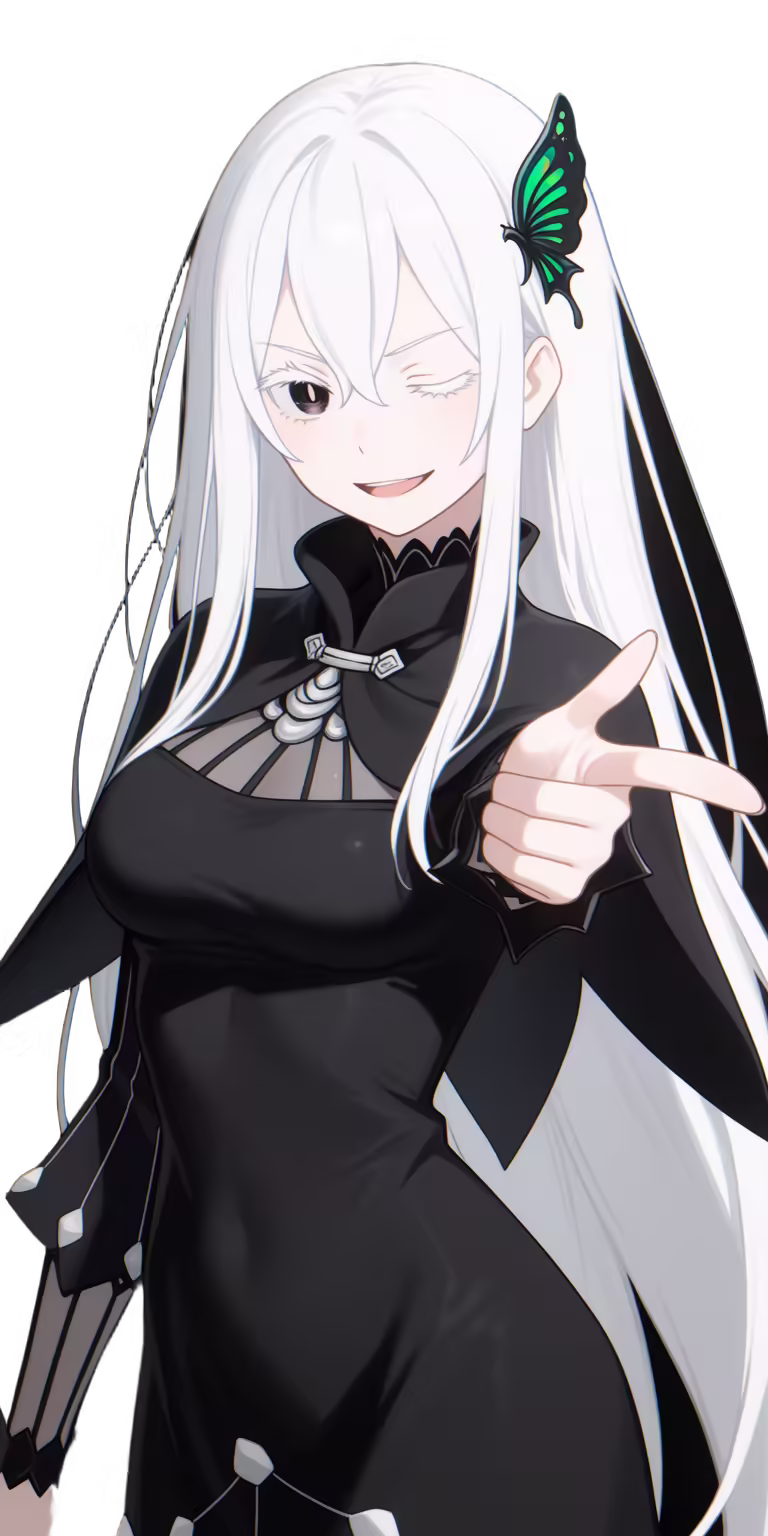 Echidna