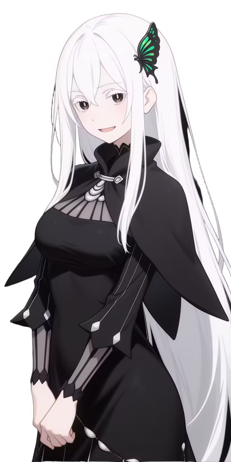 Echidna