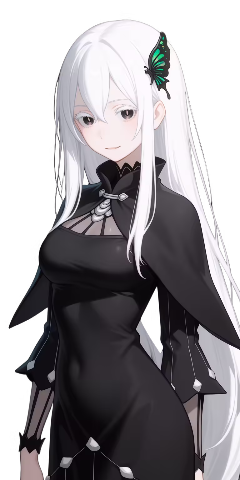 Echidna
