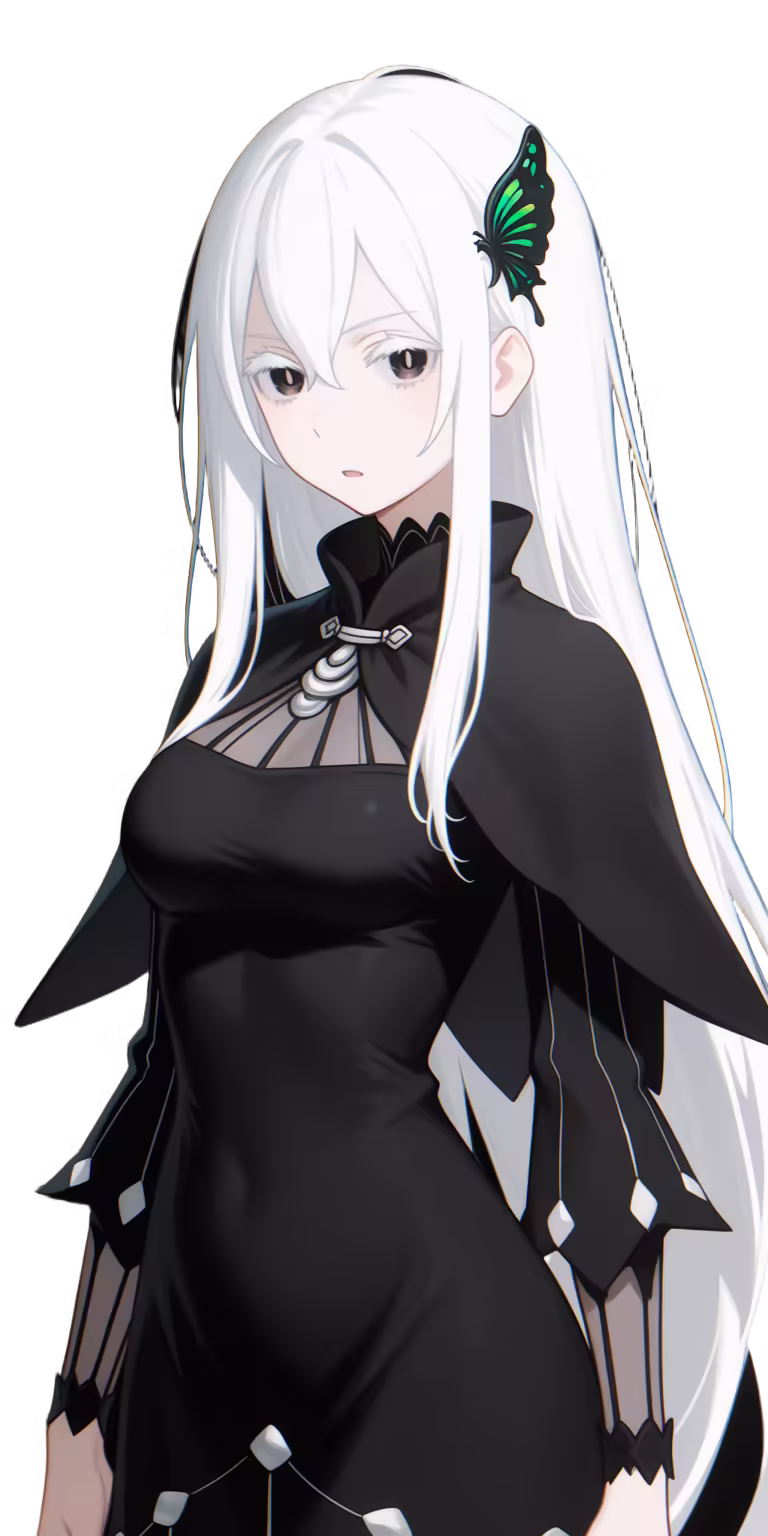 Echidna