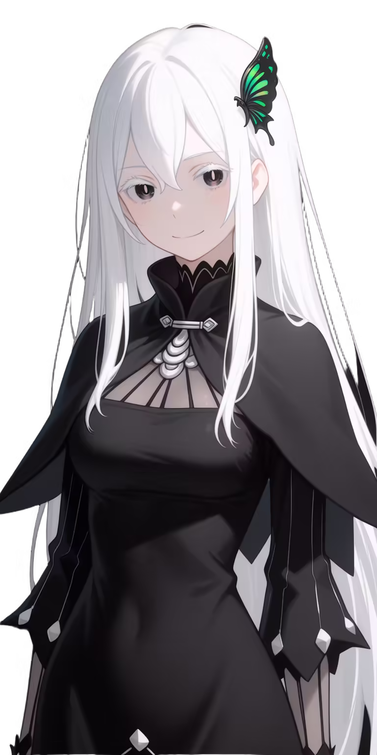 Echidna