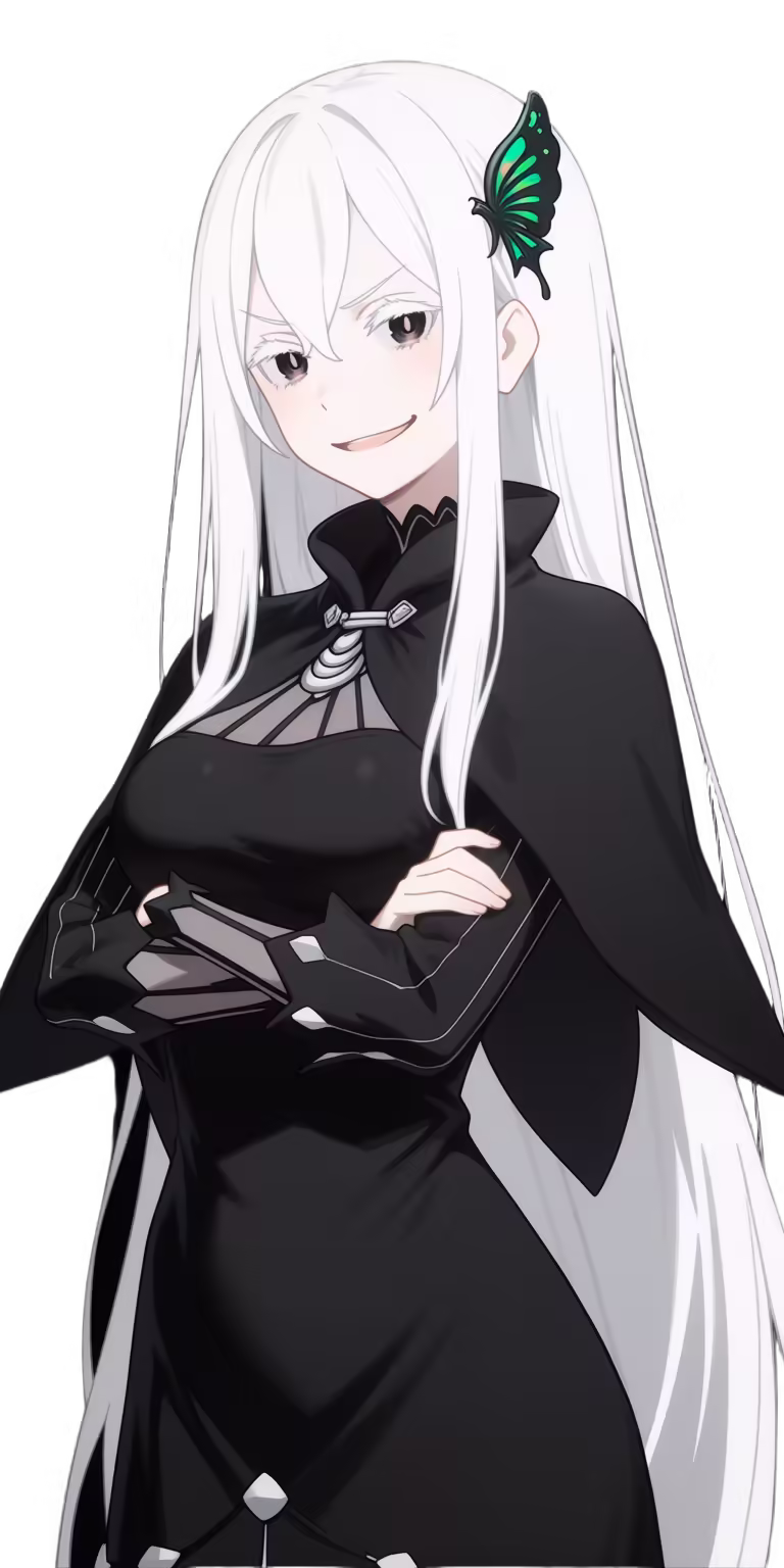 Echidna