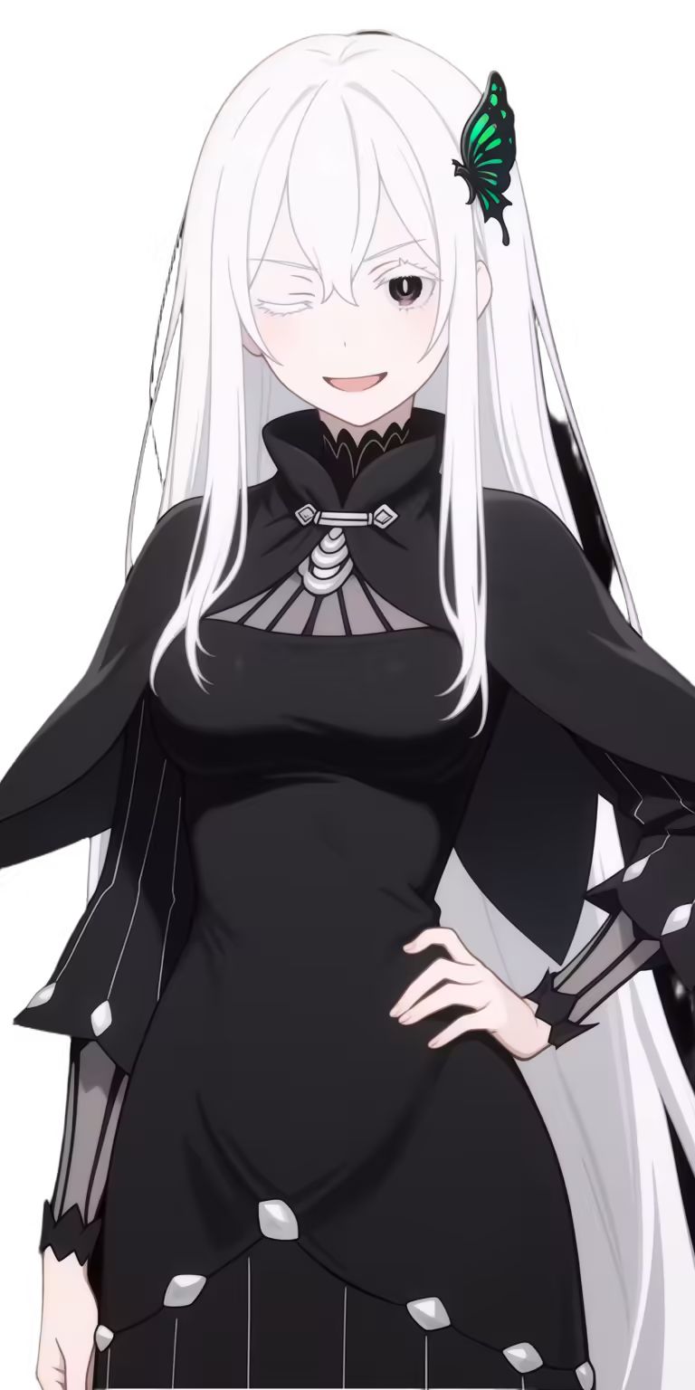 Echidna